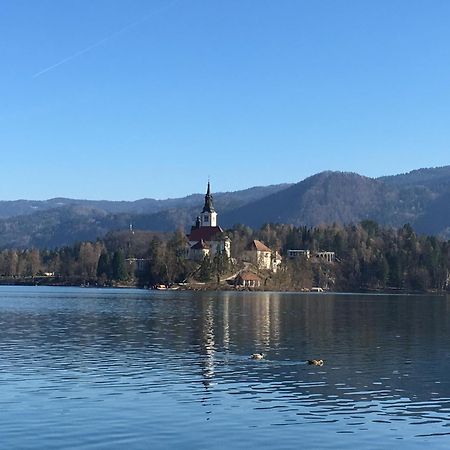 Vila Cerne Bled Buitenkant foto