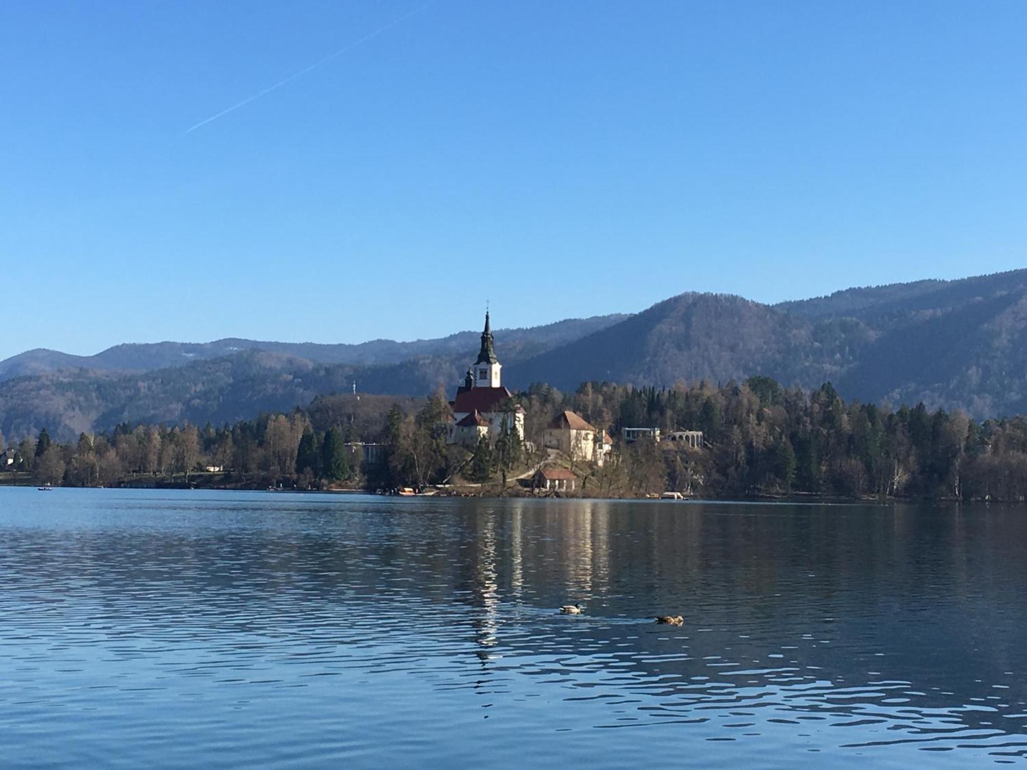 Vila Cerne Bled Buitenkant foto