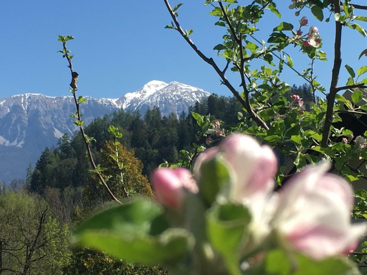 Vila Cerne Bled Buitenkant foto